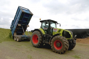 Carting silage to the clamp